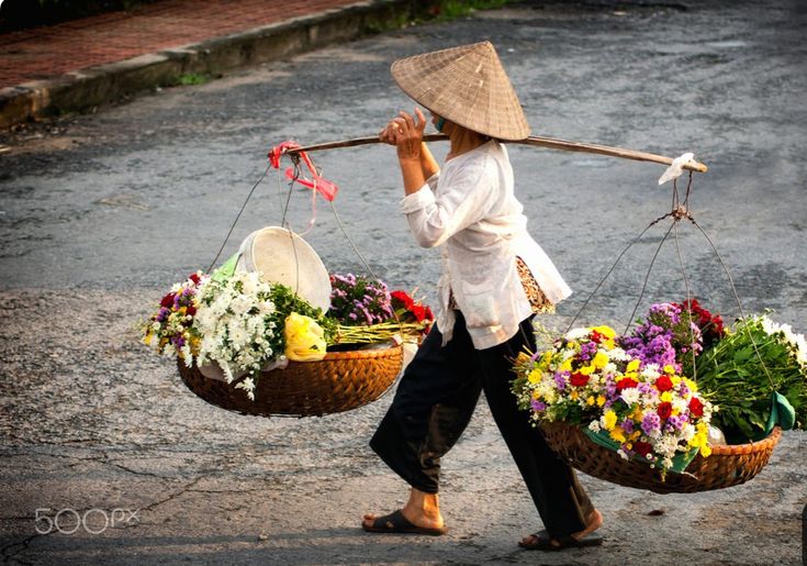 Đọc hiểu Bà nội dẫn tôi ra vườn | Đề thi tuyển sinh vào 10 tỉnh Hà Giang